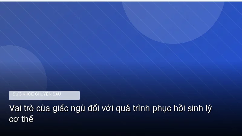 Vai trò của giấc ngủ đối với quá trình phục hồi sinh lý cơ thể