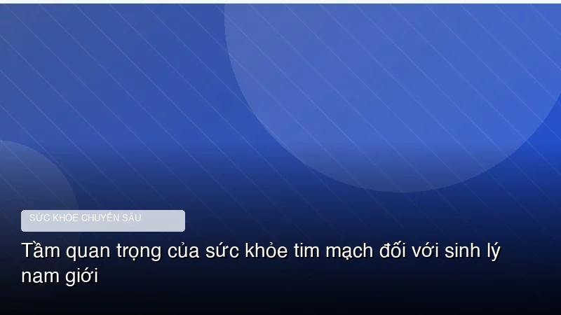 Tầm quan trọng của sức khỏe tim mạch đối với sinh lý nam giới